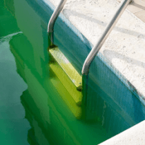 Como tratar a água verde da piscina 